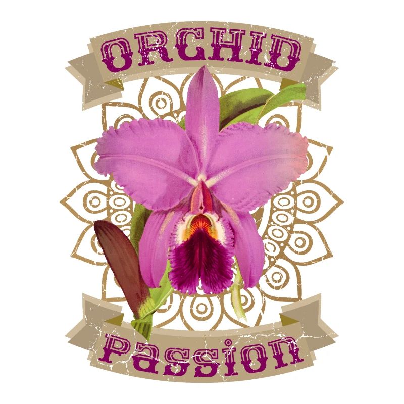 Orchidée, Orchidées, Orchidée Vintage