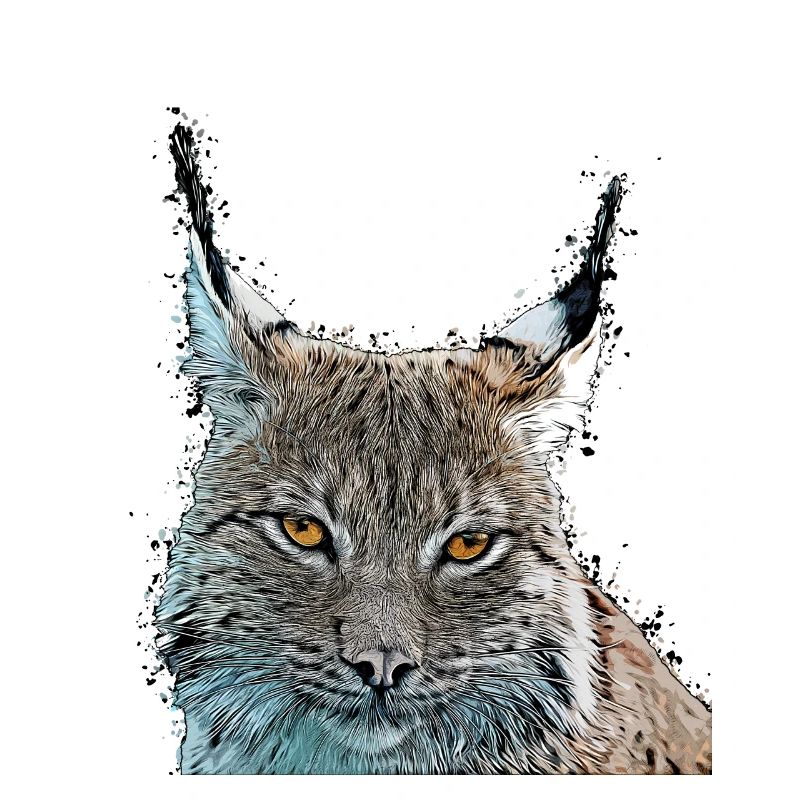 lynx