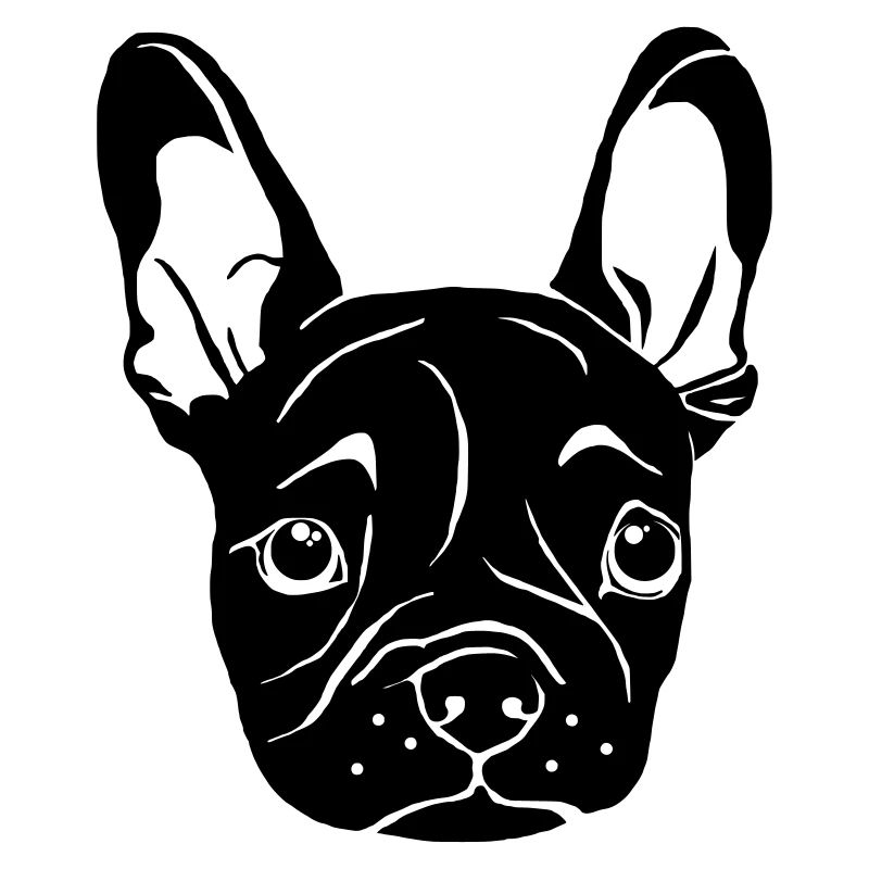 Bulldog français chiot