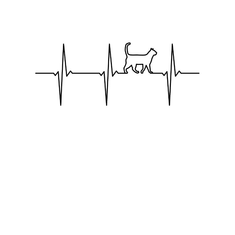ECG de chat