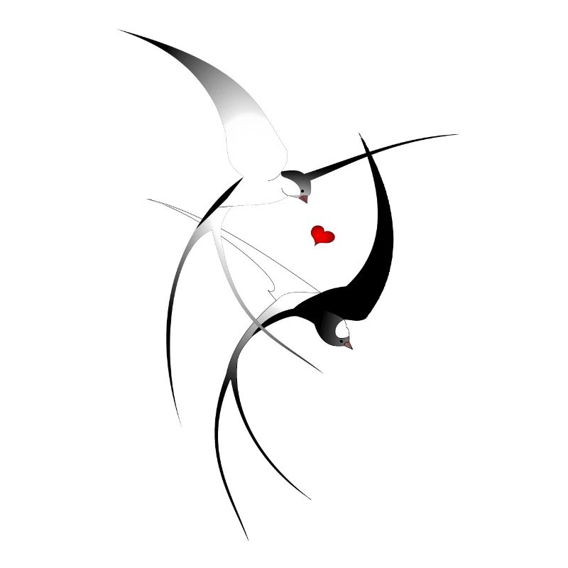 Vogel Schwalben