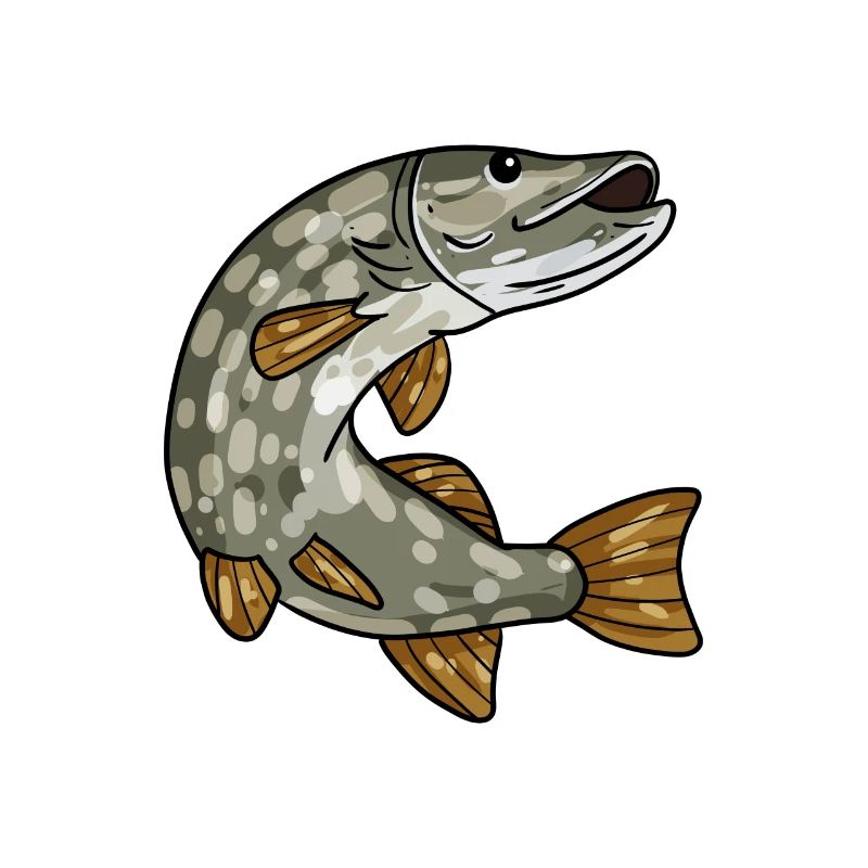Brochet