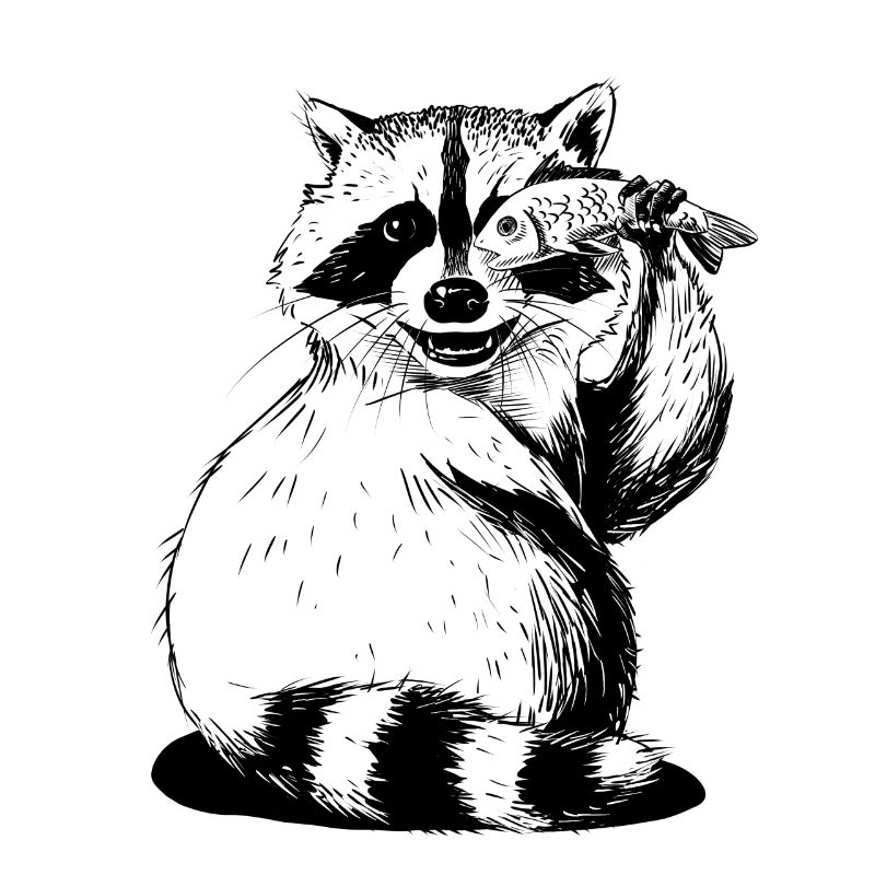 Trash panda