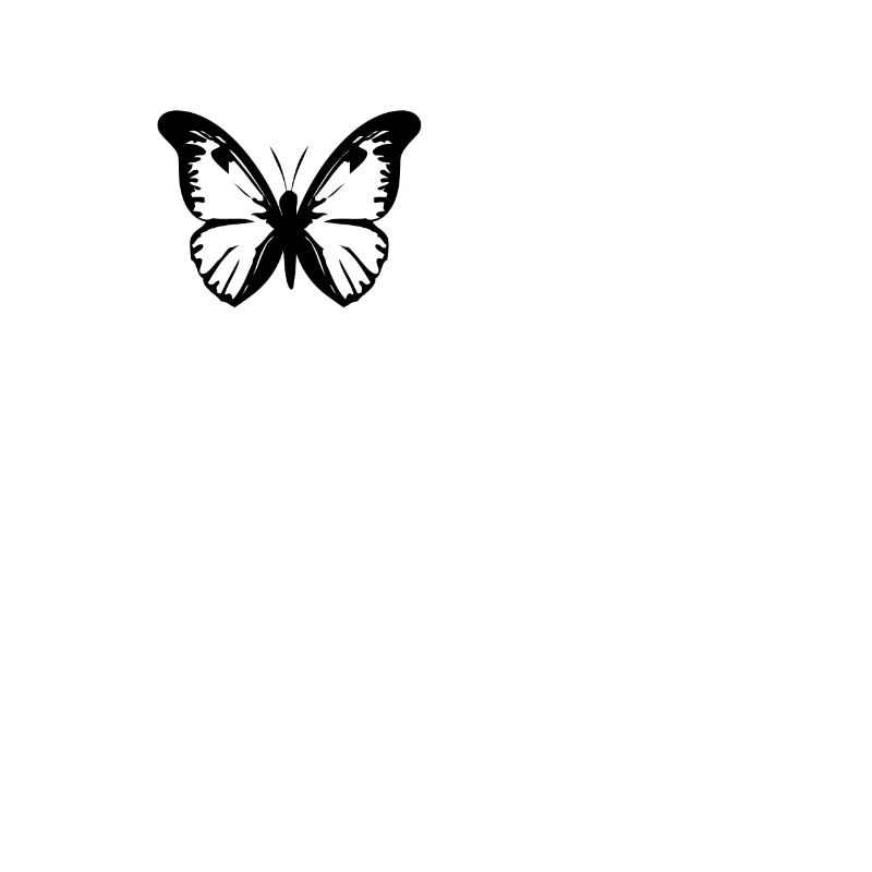Papillon insecte papillons