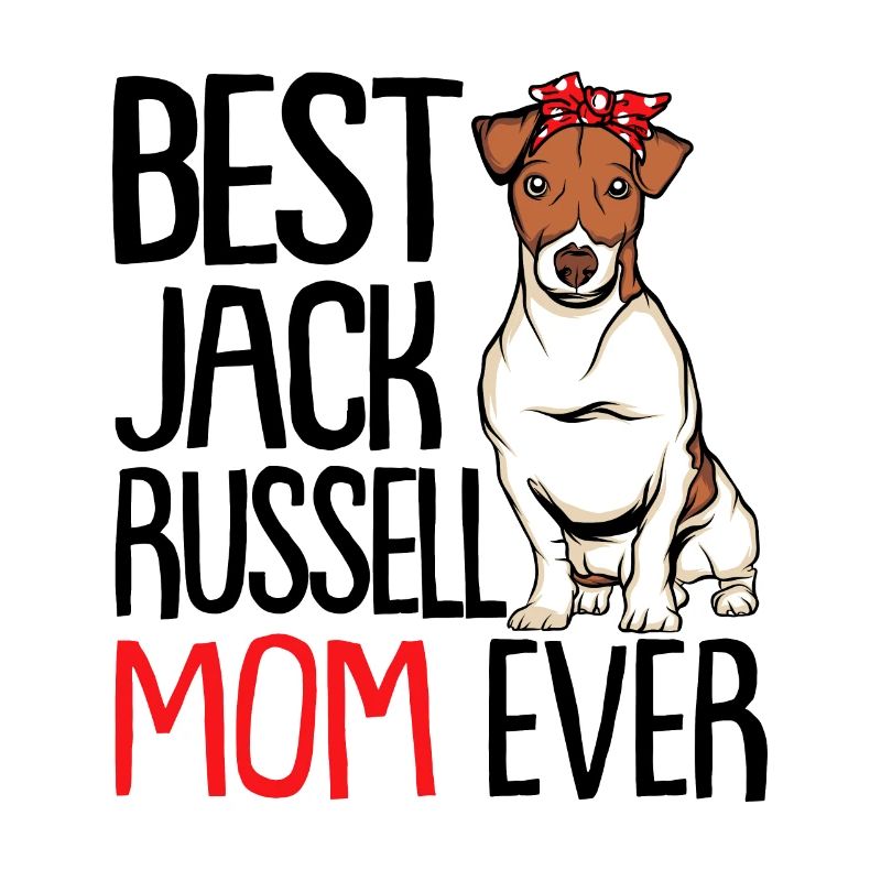 Jack Russell Terrier