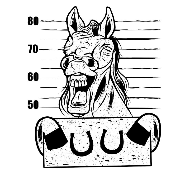 Pferd Reiten polygonal Pferde Steckbrief Pferd