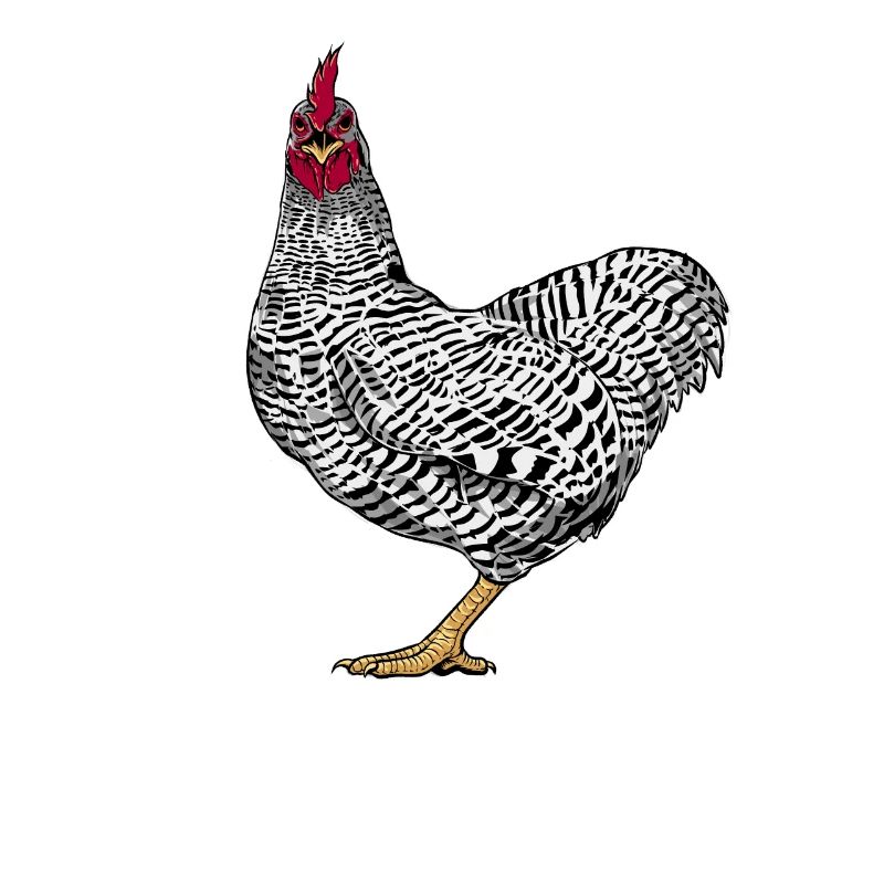 Amrock Chicken
