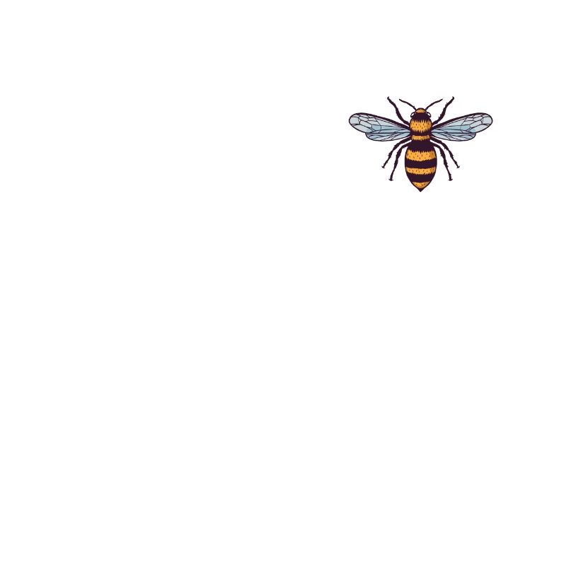 Beekeeper Honey Bee - Beekeeping Bee Beekeeper Honey Bee