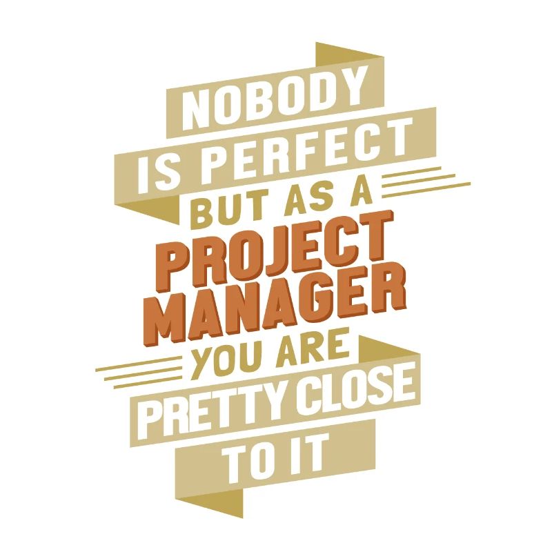 Chef De Projet Proche De Perfect It Chef De Projet