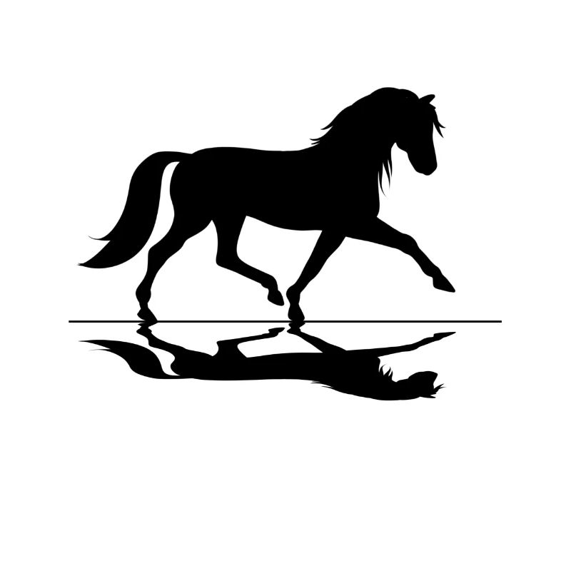 Pferde Reiten Pferdemotiv Reitmode Reitstall