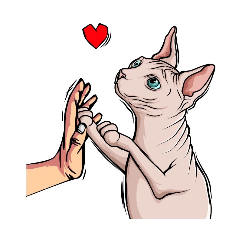 Sphynx Katze Sphinx Nacktkatze