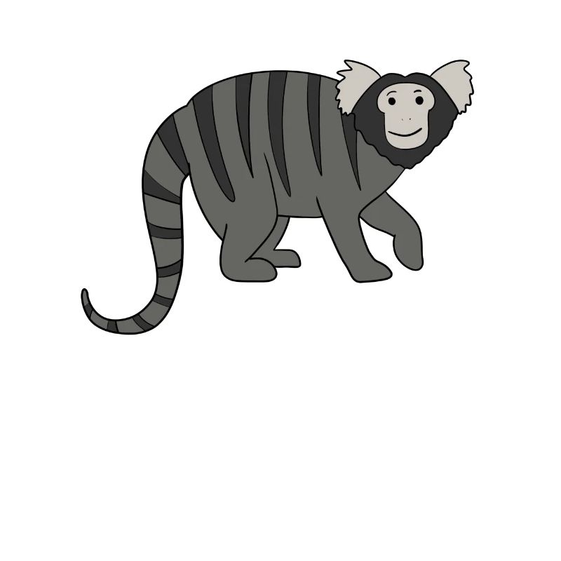 Marmosets Monkey