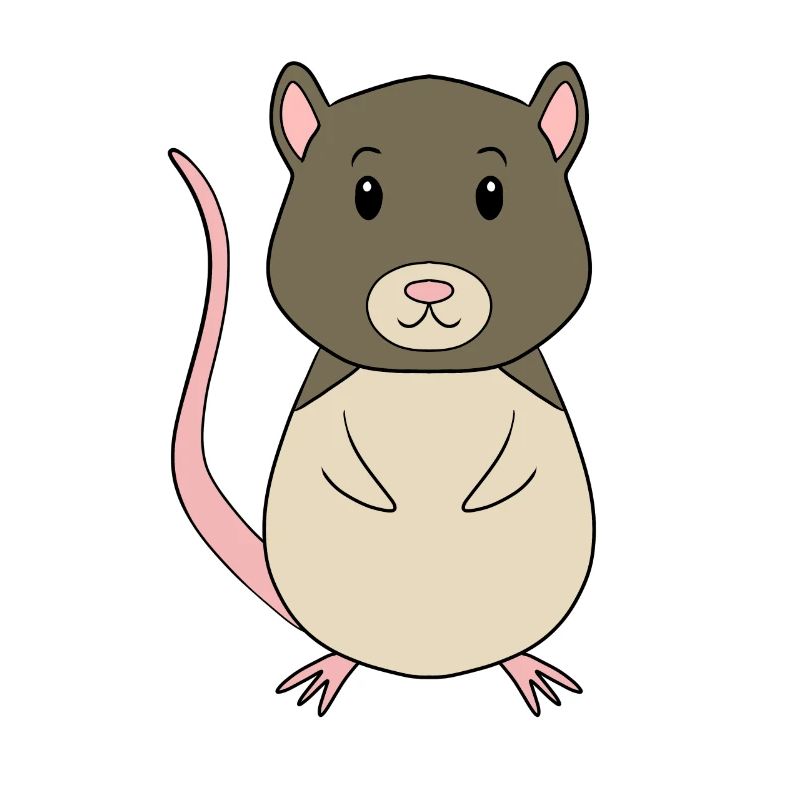 Vole Mouse