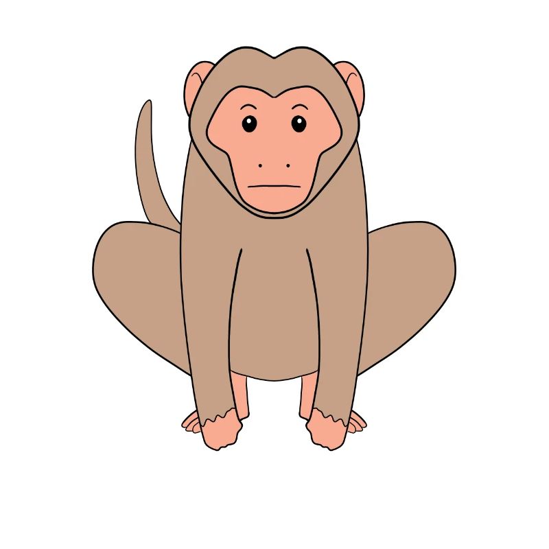 Macaque Monkey