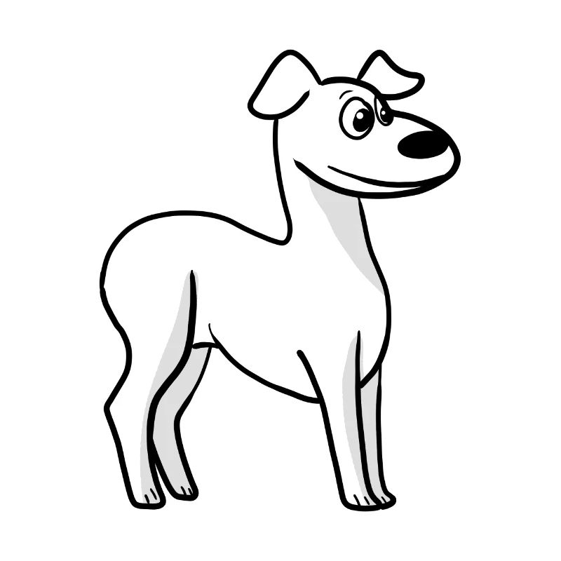 Whippet