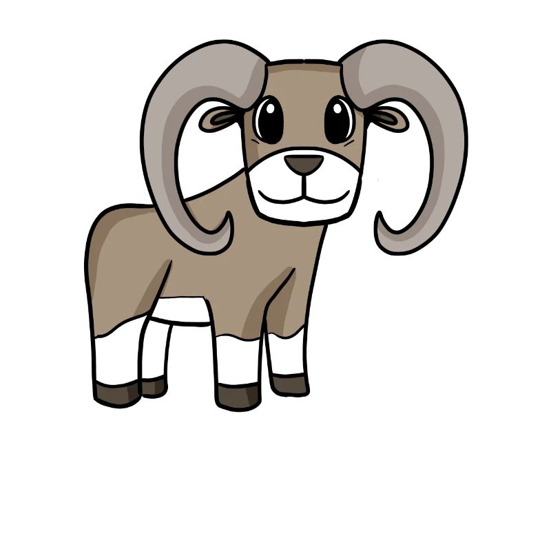 Mouton sauvage Mufflon
