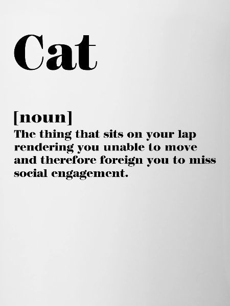 Définition chat