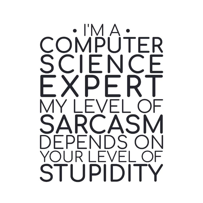« Sarcasme d’expert en informatique | Informatique »