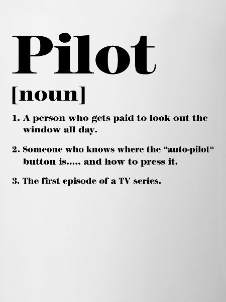 Pilot Definition