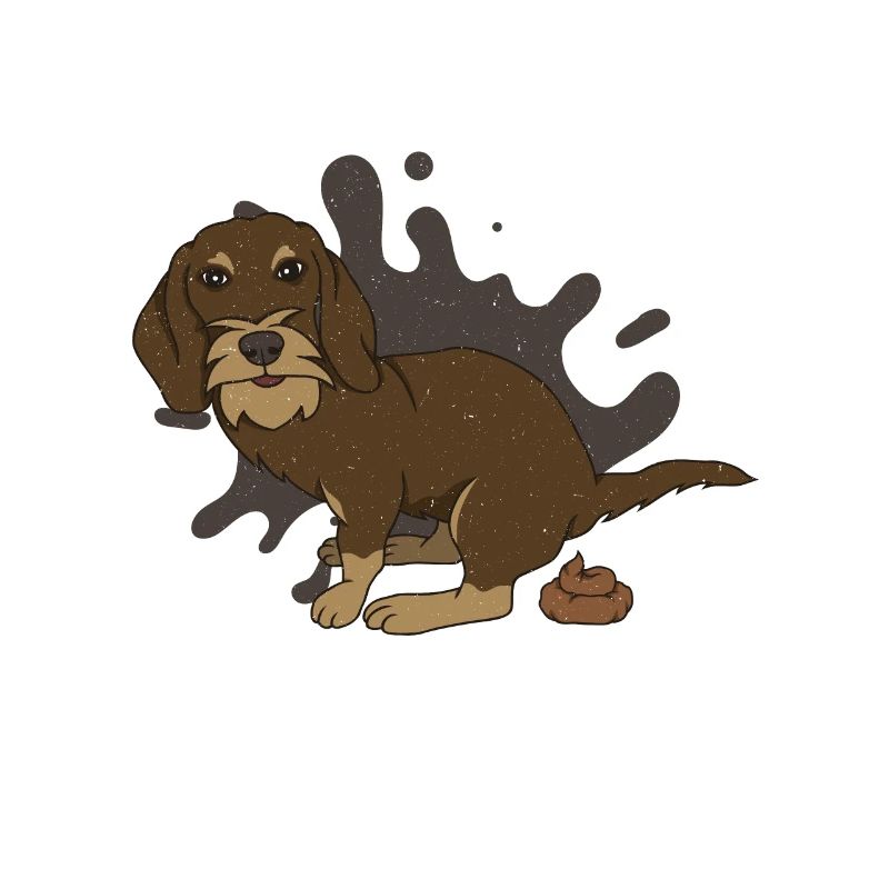 Rough-haired dachshund poops piles