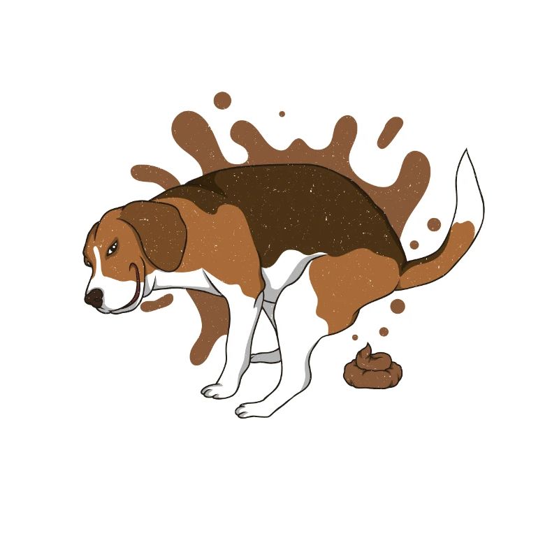 BEAGLE caca des tas de caca