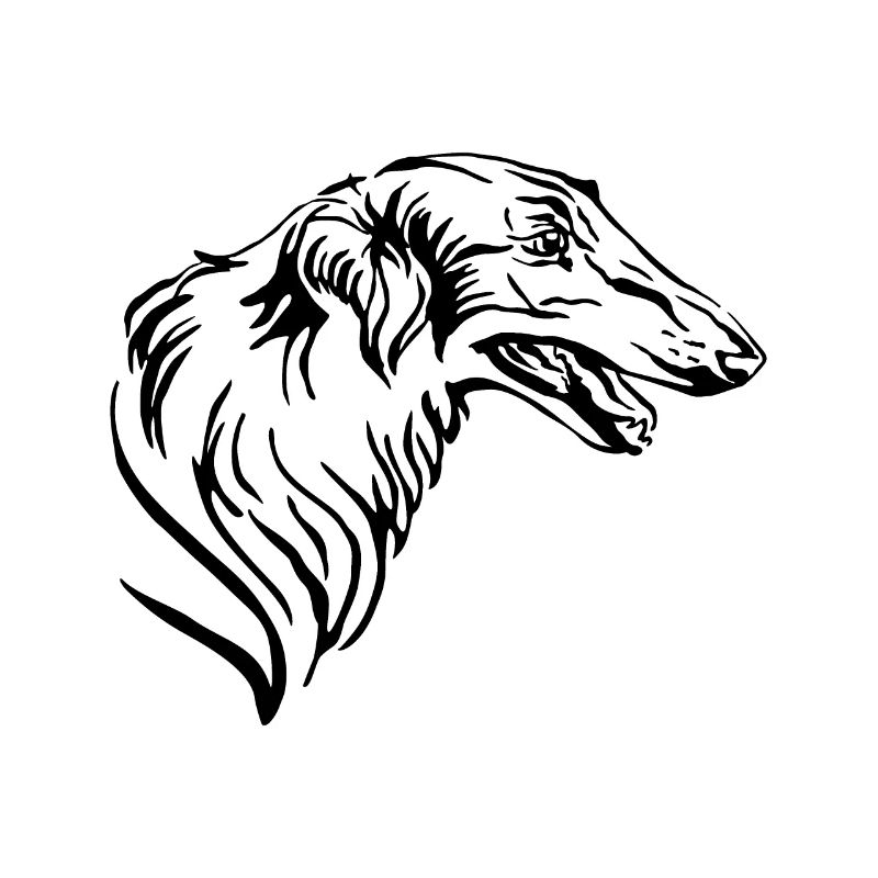 Barsoi Greyhound