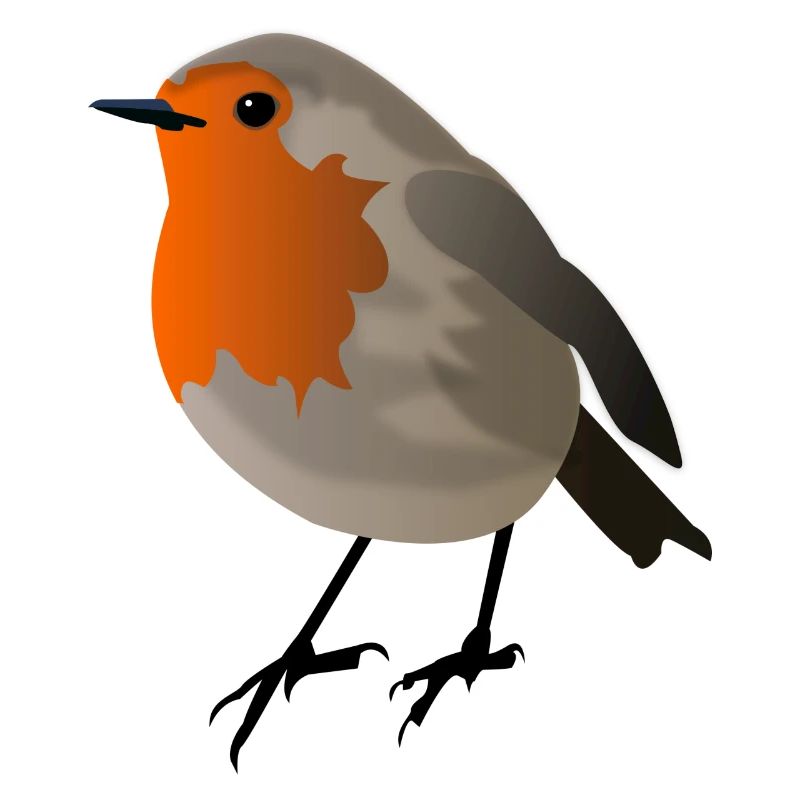 robin