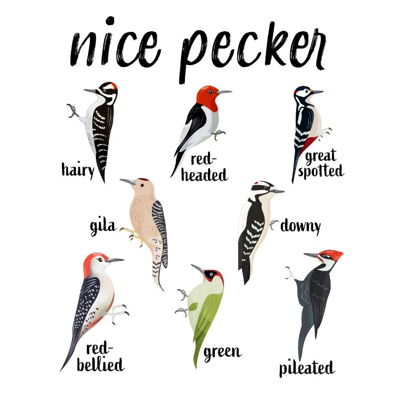 « Nice Pecker » Drôle d’observation des oiseaux pics
