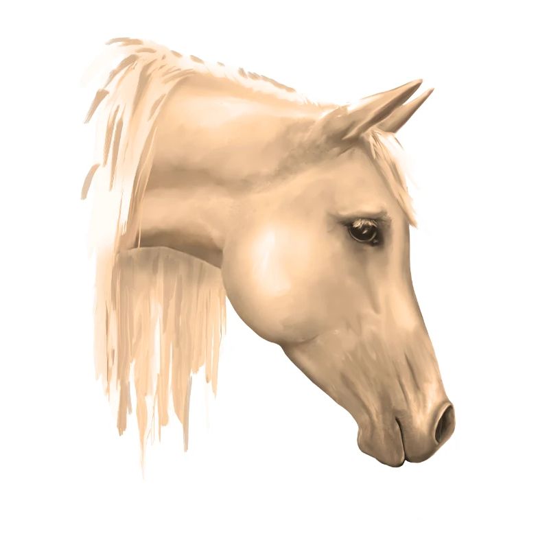 Motif de cheval