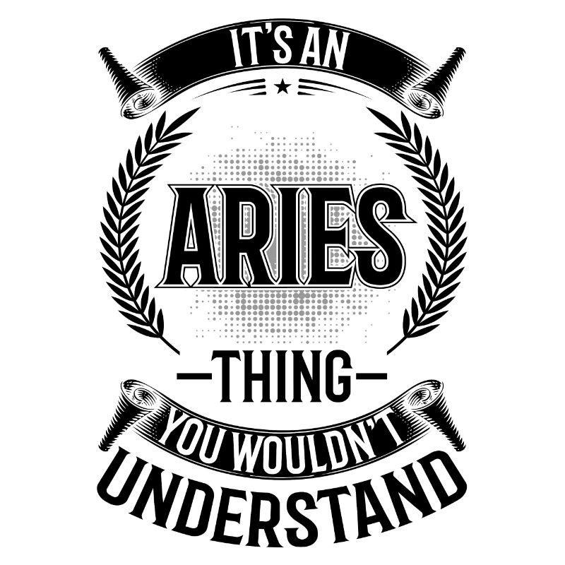 You Would Not Understand It - Aries