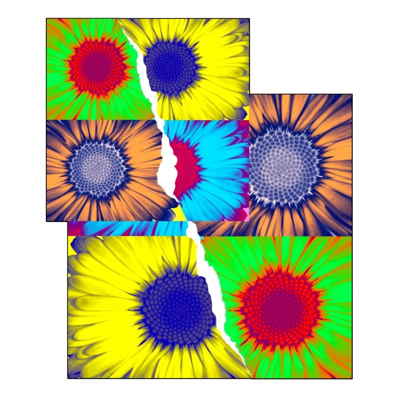 Fleurs Pop Art