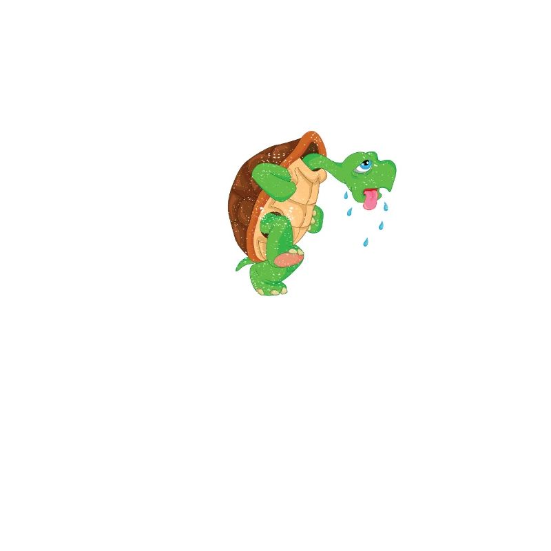 I'm a Slow Runner Turtle Funny