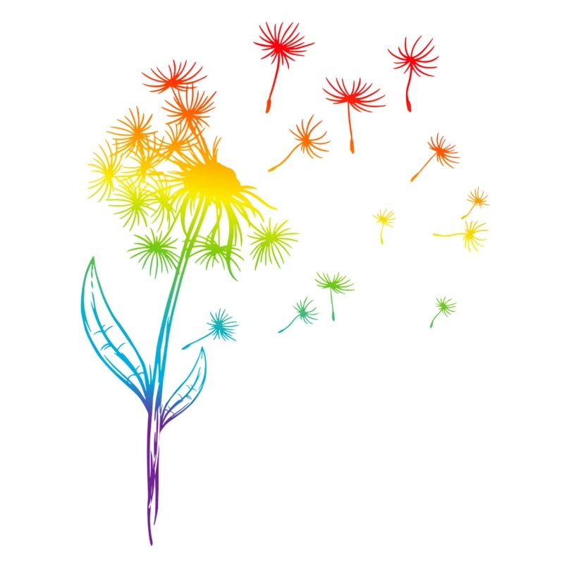 Pusteblume Löwenzahn Regenbogen Pflanze