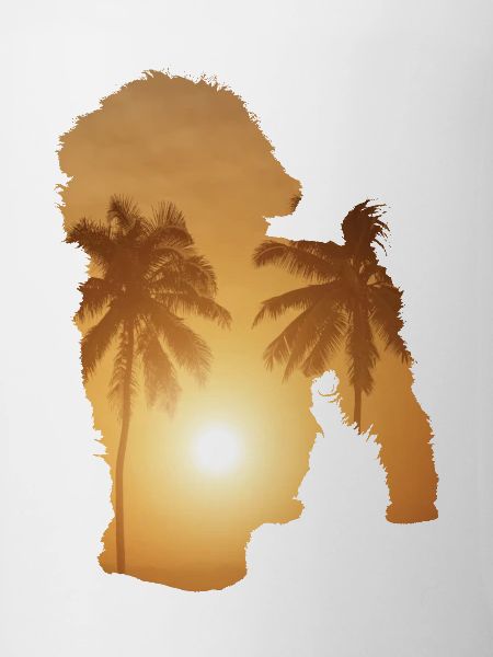 Plage d’été - Bichon Frise