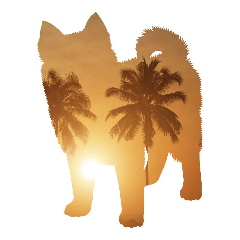 Sommerstrand - Pomsky