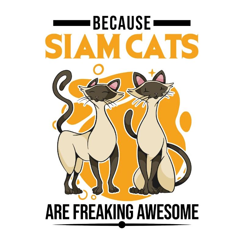 Because Siam Cats are freaking awesome Siamese cat