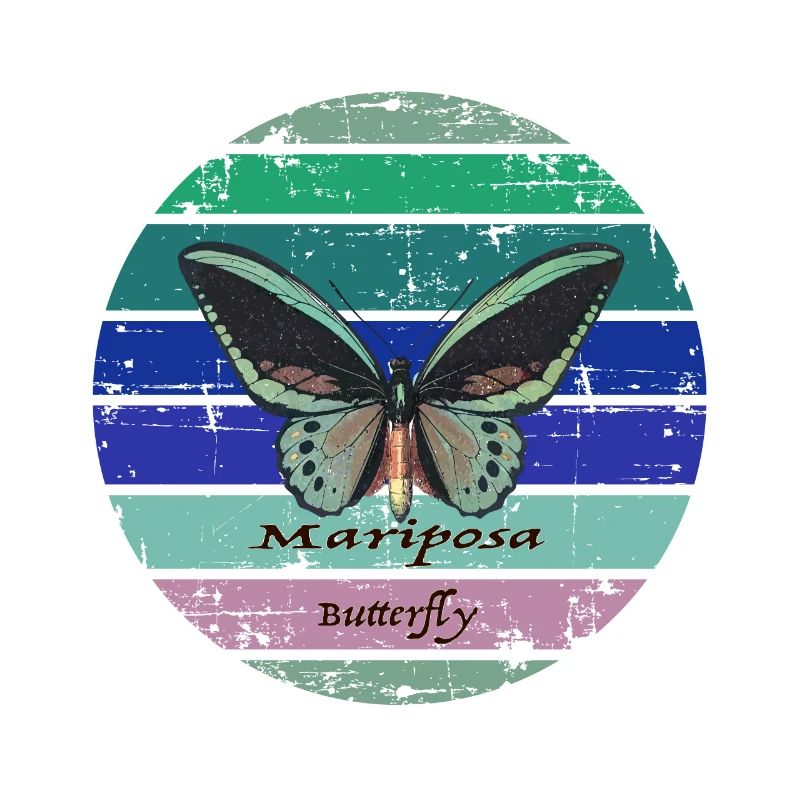Bunter Schmetterling