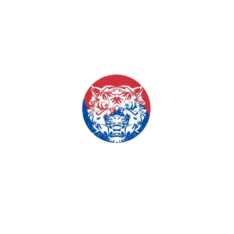 Tae Kwon Do Tiger Korea Drôle Taekwondo Corée
