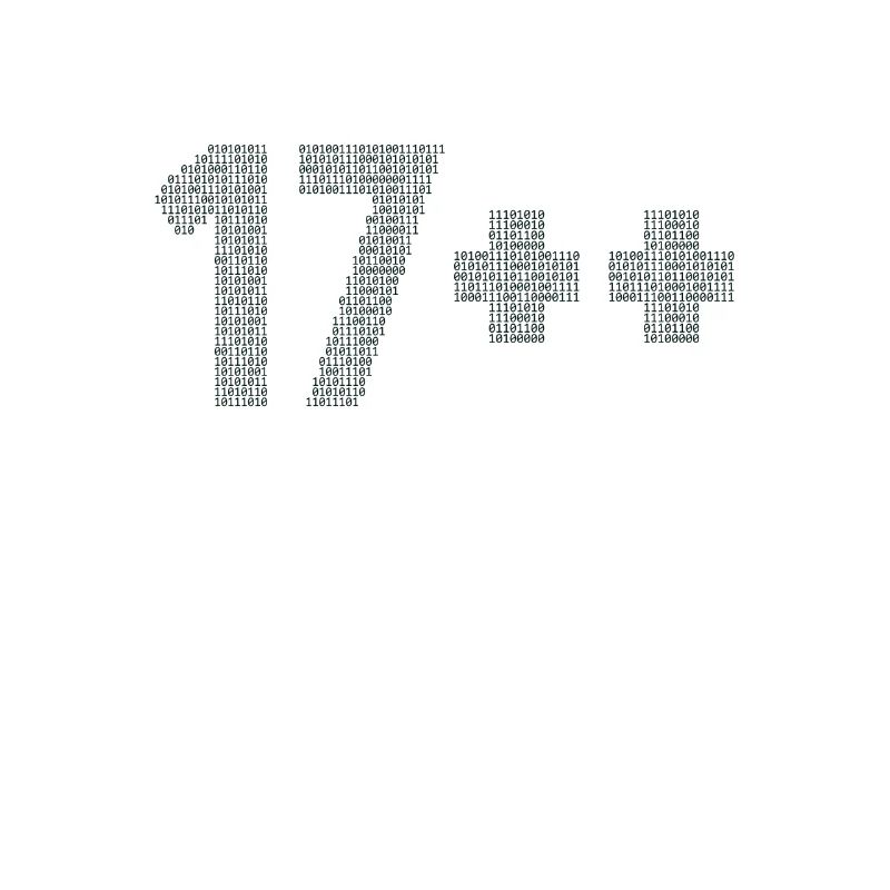 17++ Software Developer Coder Engineer 18th