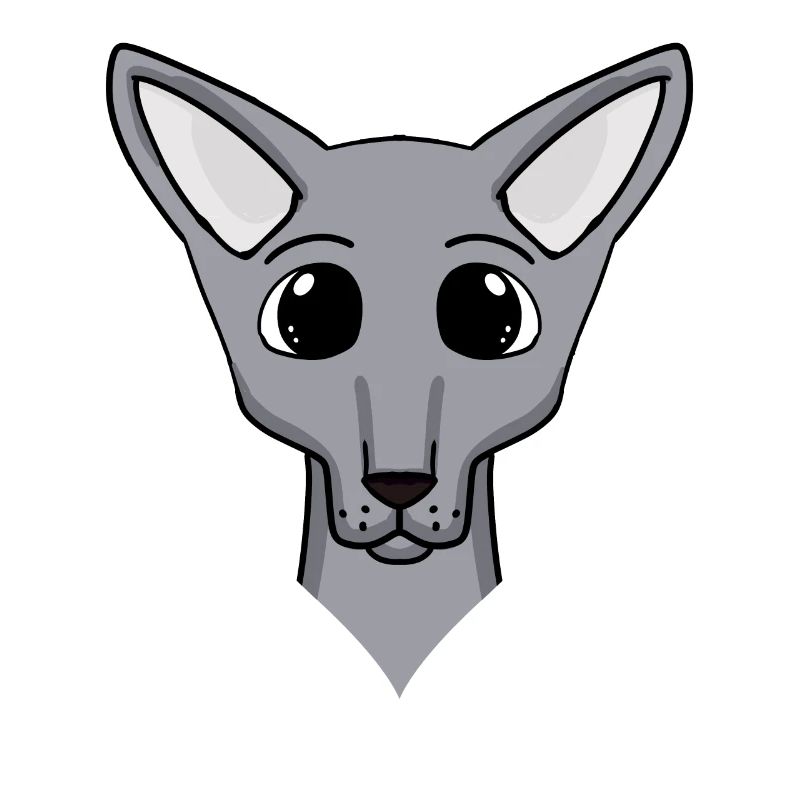Sphynx Head Cat Cat Owner