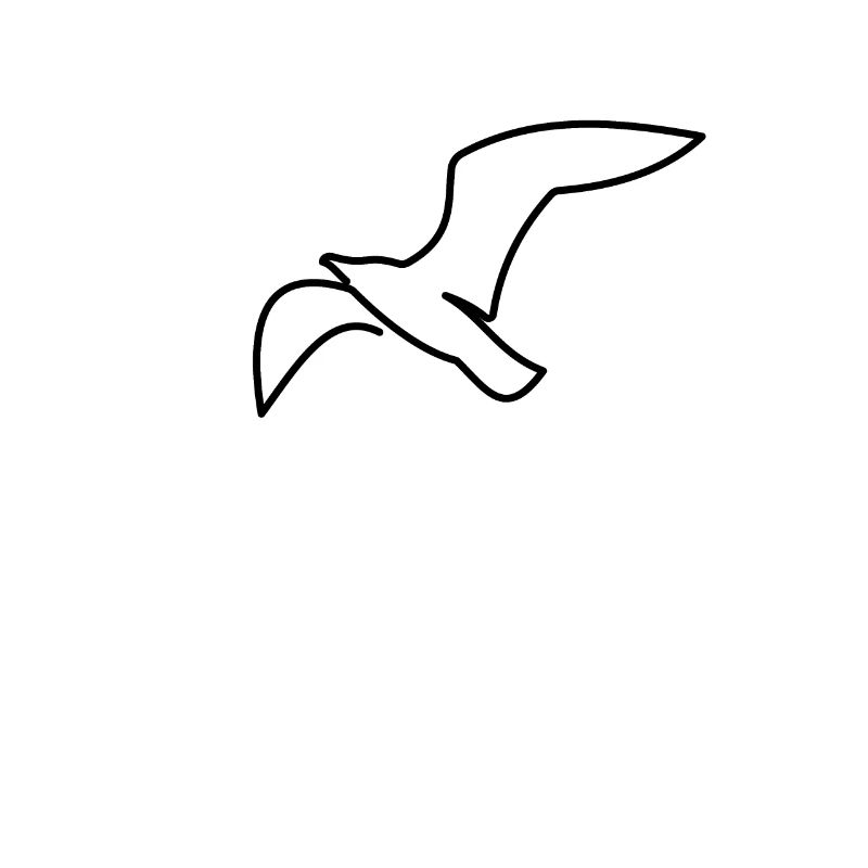 Mouette maritime