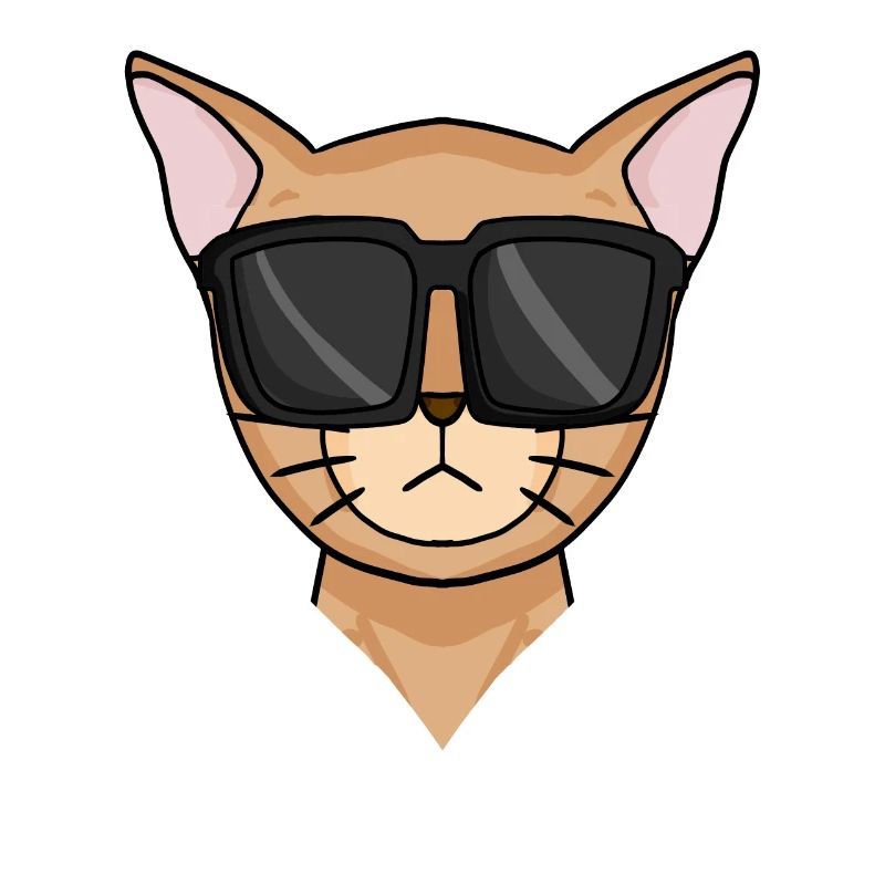 Abyssinian cat cat with sunglasses