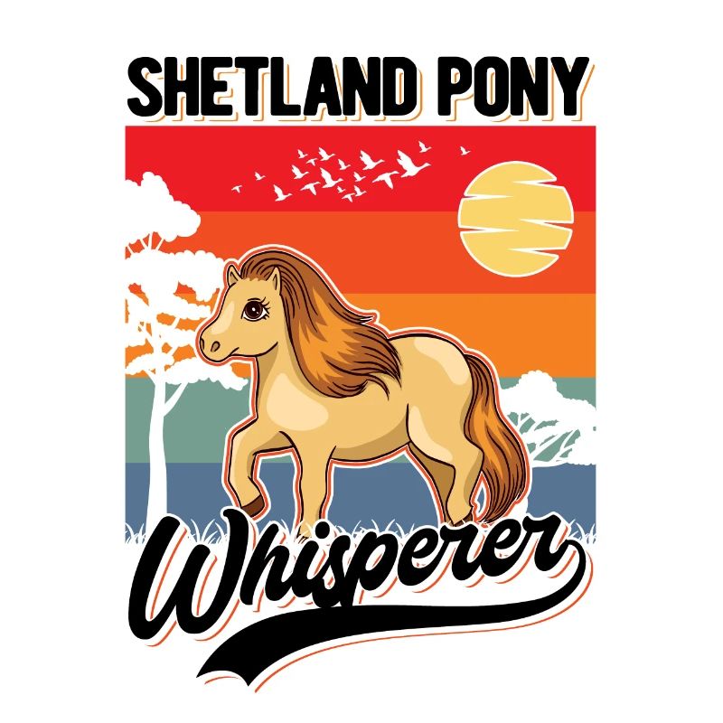 Shetland Pony Whisperer Shetland-Pony Shetty