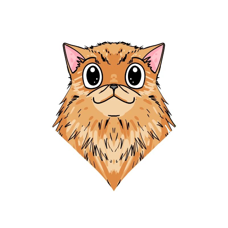 Chat persan Chat Race Chat