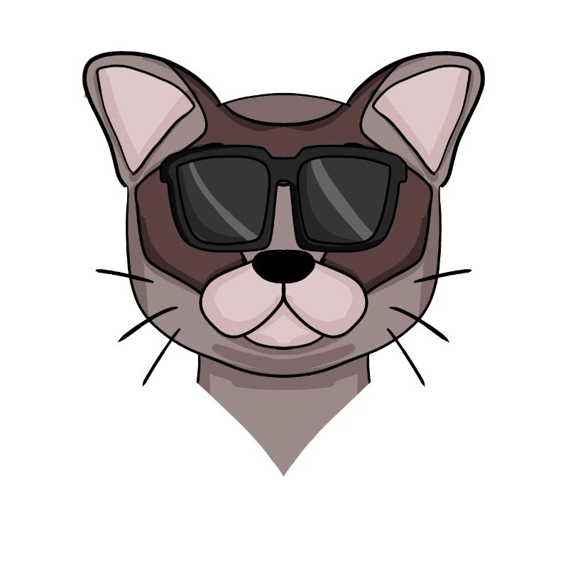 Chat de Birmanie