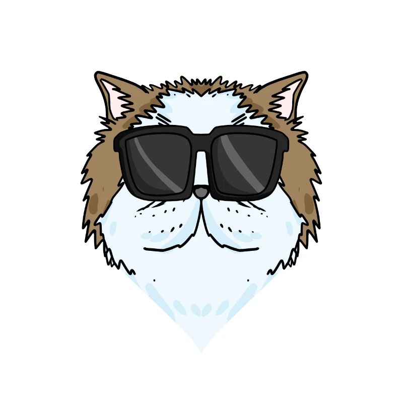 Cool Chat Persan Chat Race Chat
