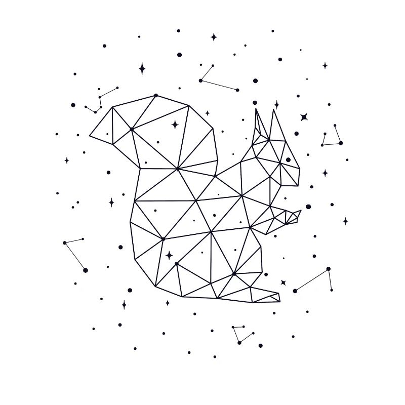 Constellation Squirrel Constellation Squirrel