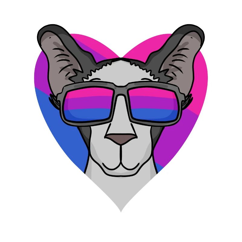 Bisexuell Orientalisch Kurzhaar Katze Geschenk