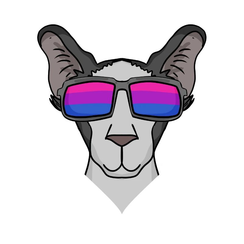 Bisexuell Orientalisch Kurzhaar Katze Geschenk