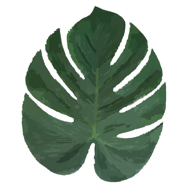 Exotic leaf